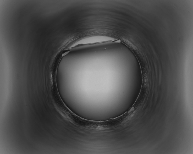 X0000086960254200705071342
