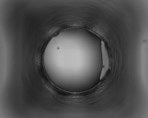 X0000086960255200705071342