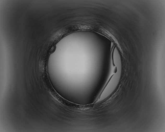 X0000086960257200705071342