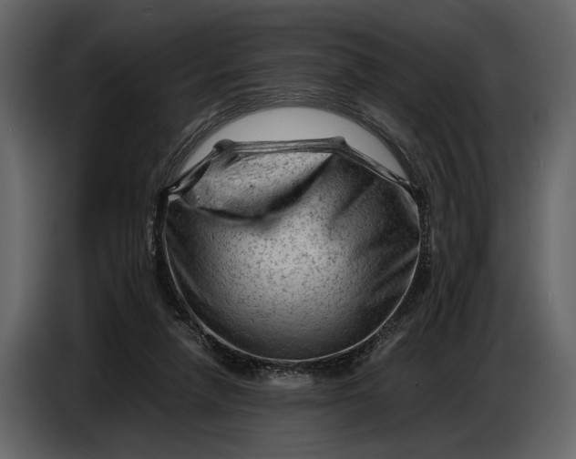X0000086960258200705071342