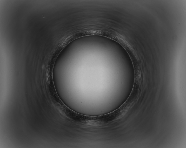 X0000086960259200705071342