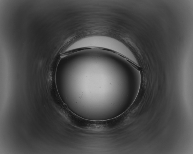 X0000086960260200705071342