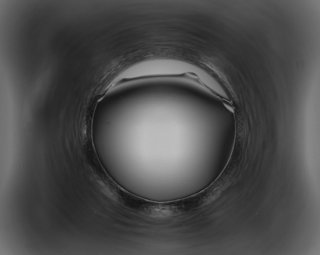 X0000086960261200705071342