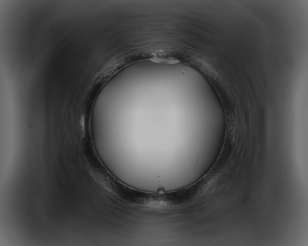 X0000086960262200705071342