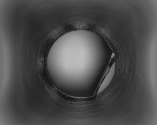 X0000086960263200705071342