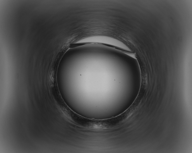 X0000086960264200705071342