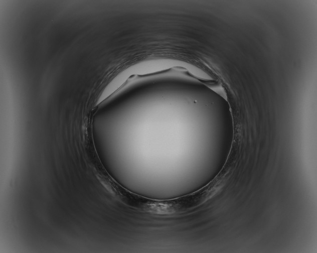 X0000086960265200705071342