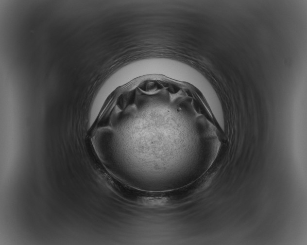X0000086960266200705071342