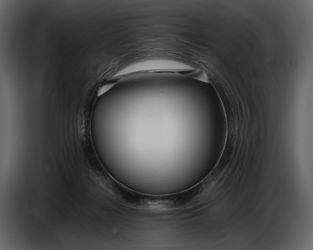 X0000086960268200705071342