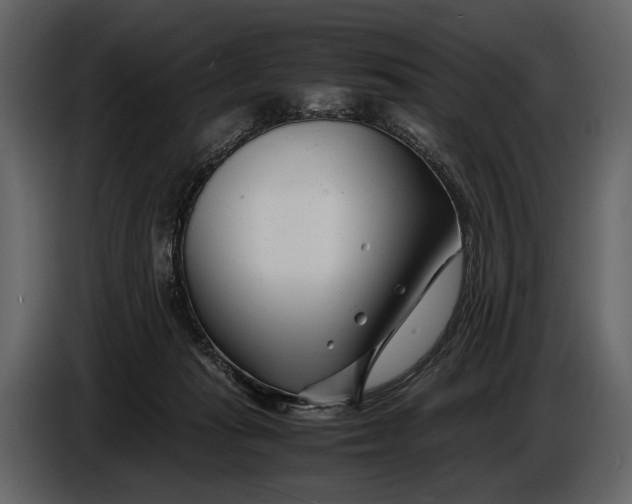 X0000086960269200705071342