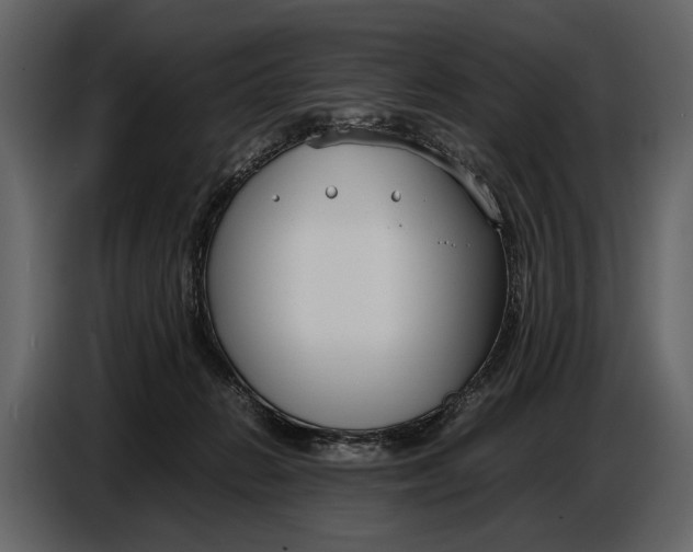 X0000086960270200705071342