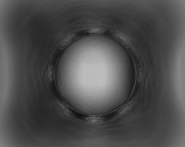 X0000086960273200705071342