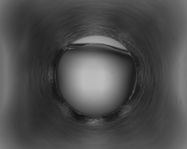 X0000086960274200705071342