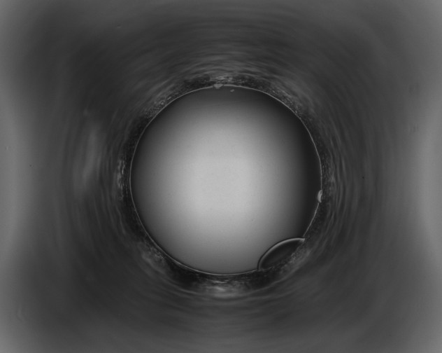 X0000086960275200705071342