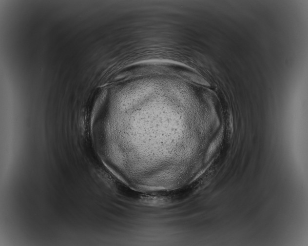 X0000086960276200705071342