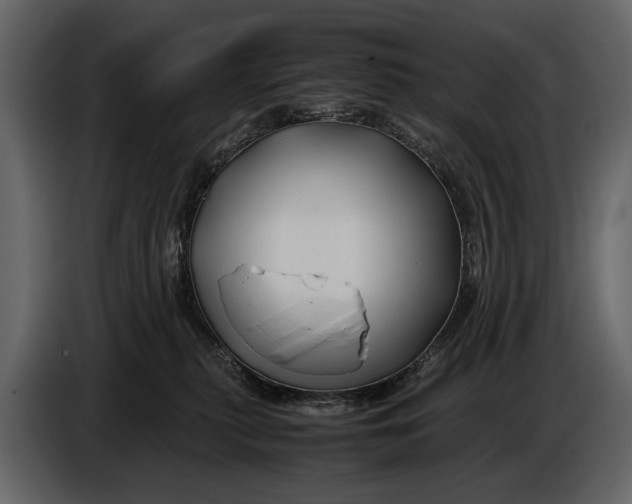 X0000086960279200705071342