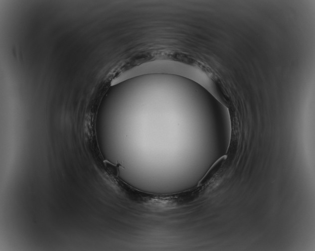 X0000086960280200705071342