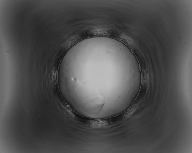 X0000086960281200705071342