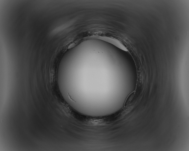 X0000086960283200705071342