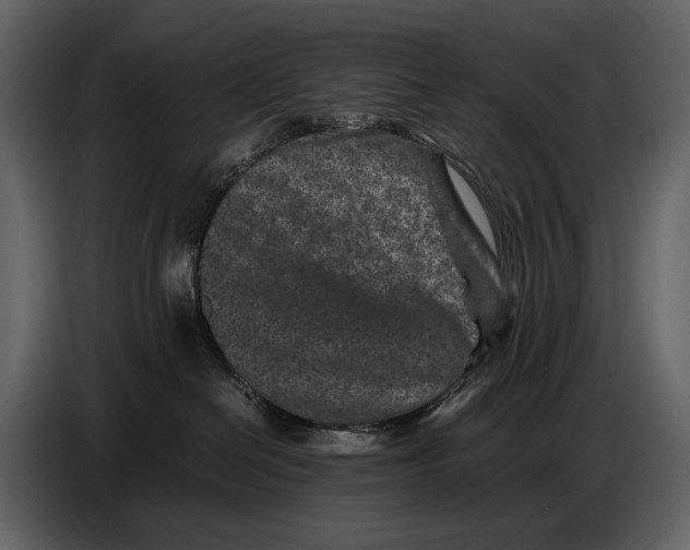 X0000086960286200705071342