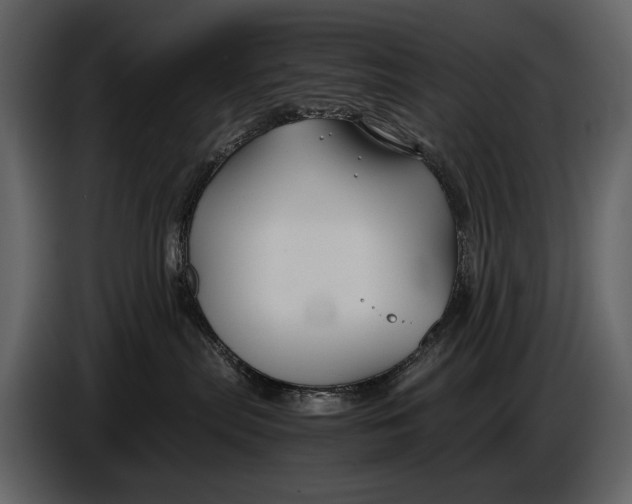 X0000086960287200705071342