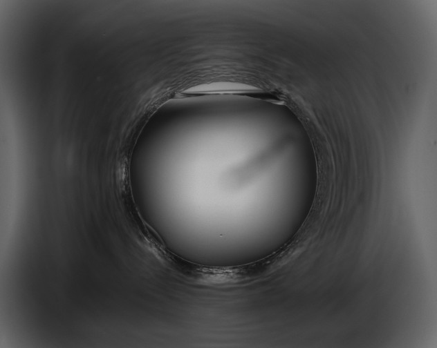 X0000086960288200705071342