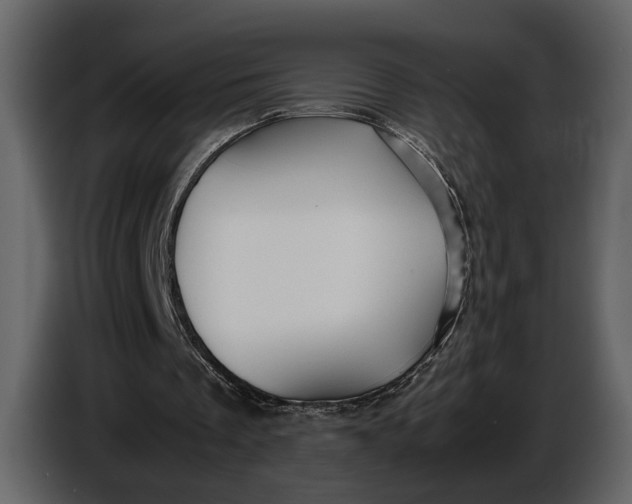 X0000086960289200705071342