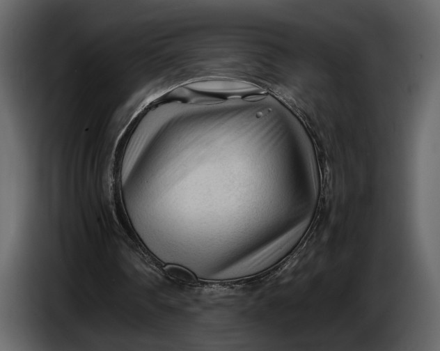 X0000086960290200705071342