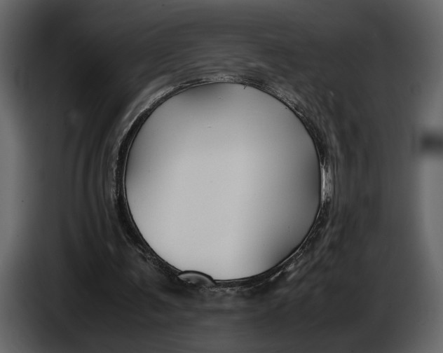 X0000086960291200705071342