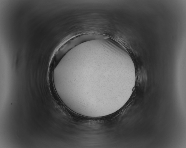 X0000086960292200705071341