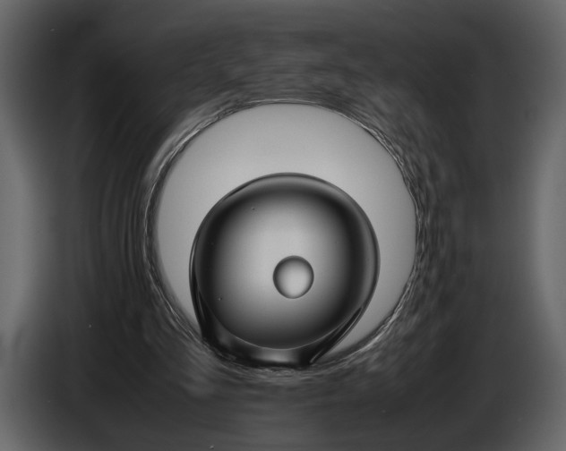 X0000086960293200705071341