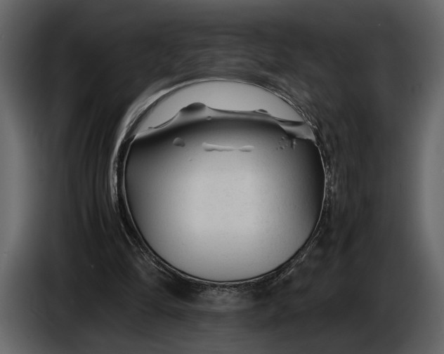 X0000086960294200705071341