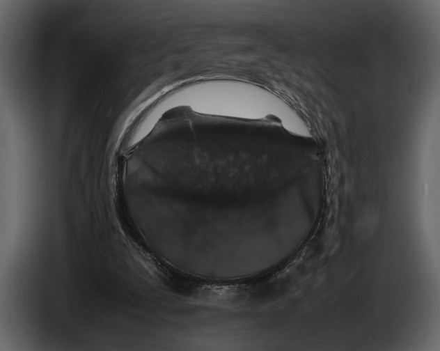 X0000086960295200705071341