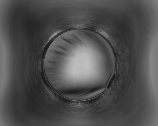 X0000086960297200705071341