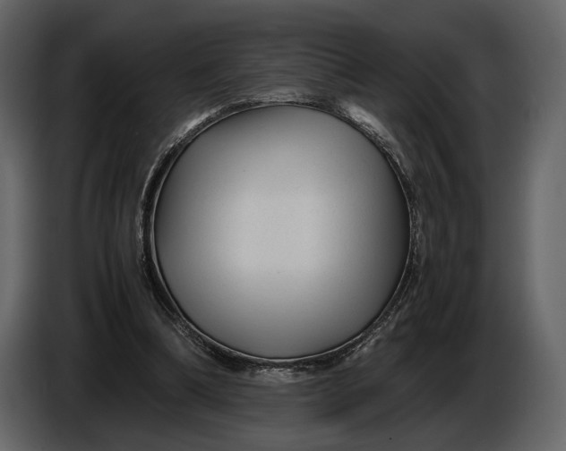 X0000086960298200705071341