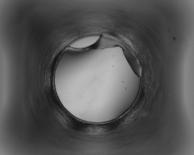 X0000086960299200705071341