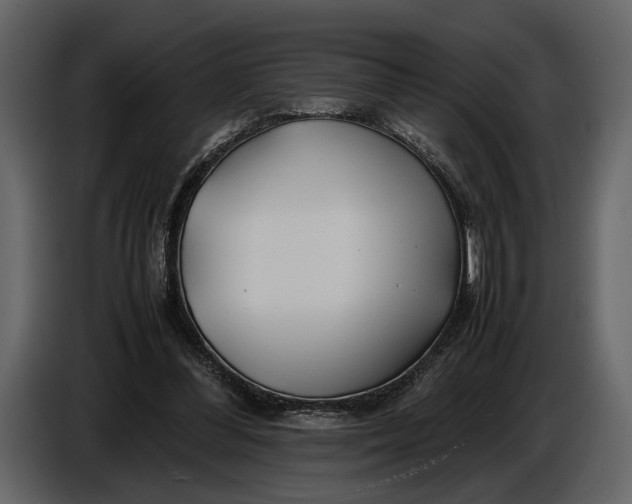 X0000086960300200705071341