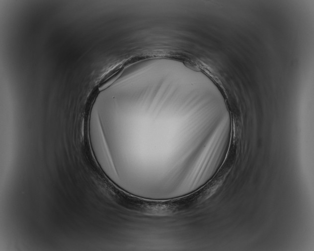 X0000086960301200705071341