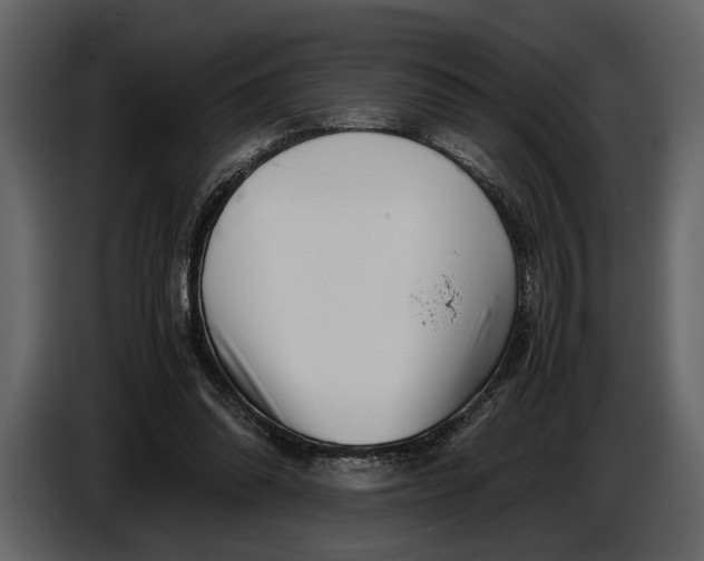 X0000086960302200705071341