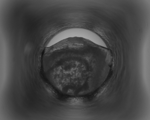 X0000086960303200705071341