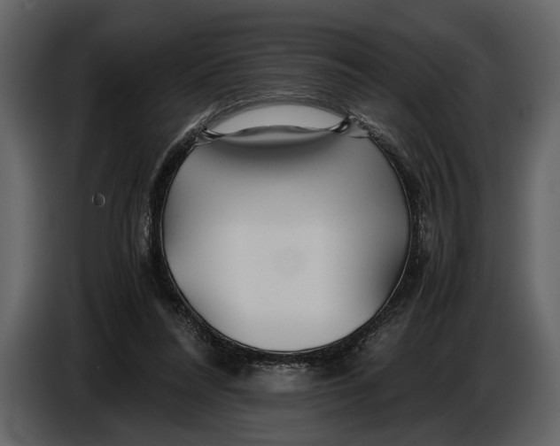 X0000086960304200705071341