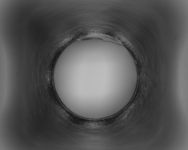X0000086960305200705071341