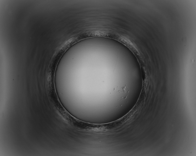 X0000086960306200705071341