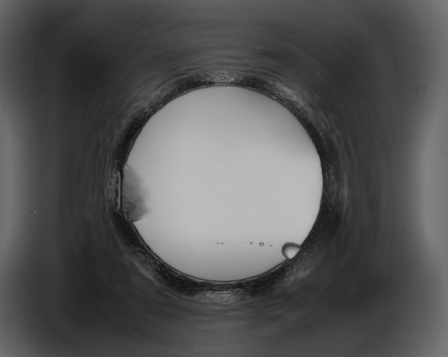 X0000086960307200705071341