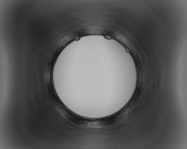 X0000086960309200705071341