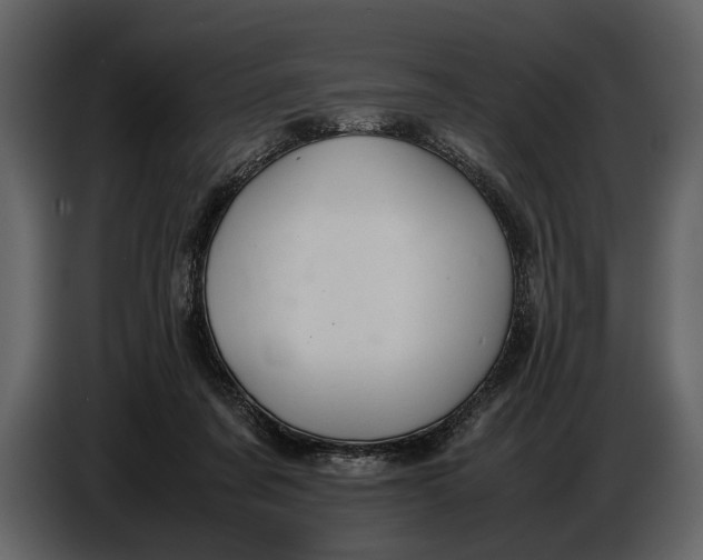 X0000086960311200705071341