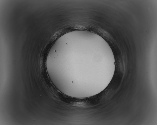 X0000086960312200705071341