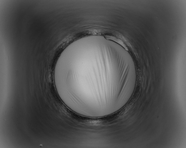 X0000086960313200705071341