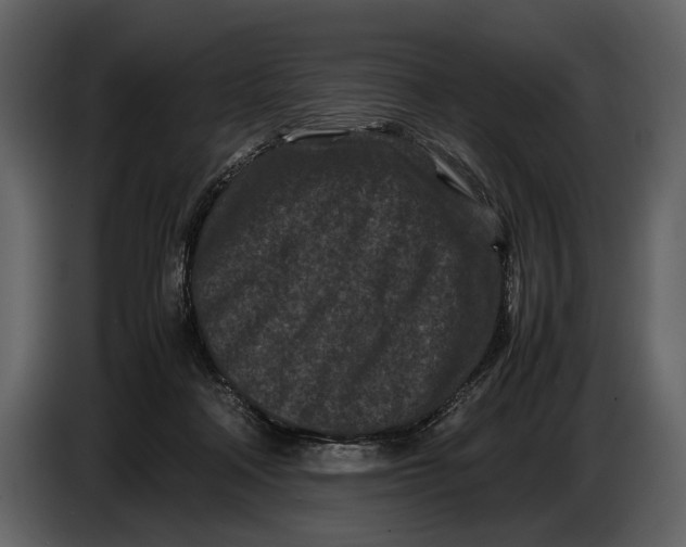 X0000086960314200705071341