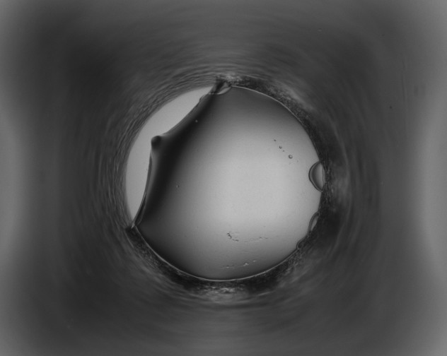 X0000086960315200705071341
